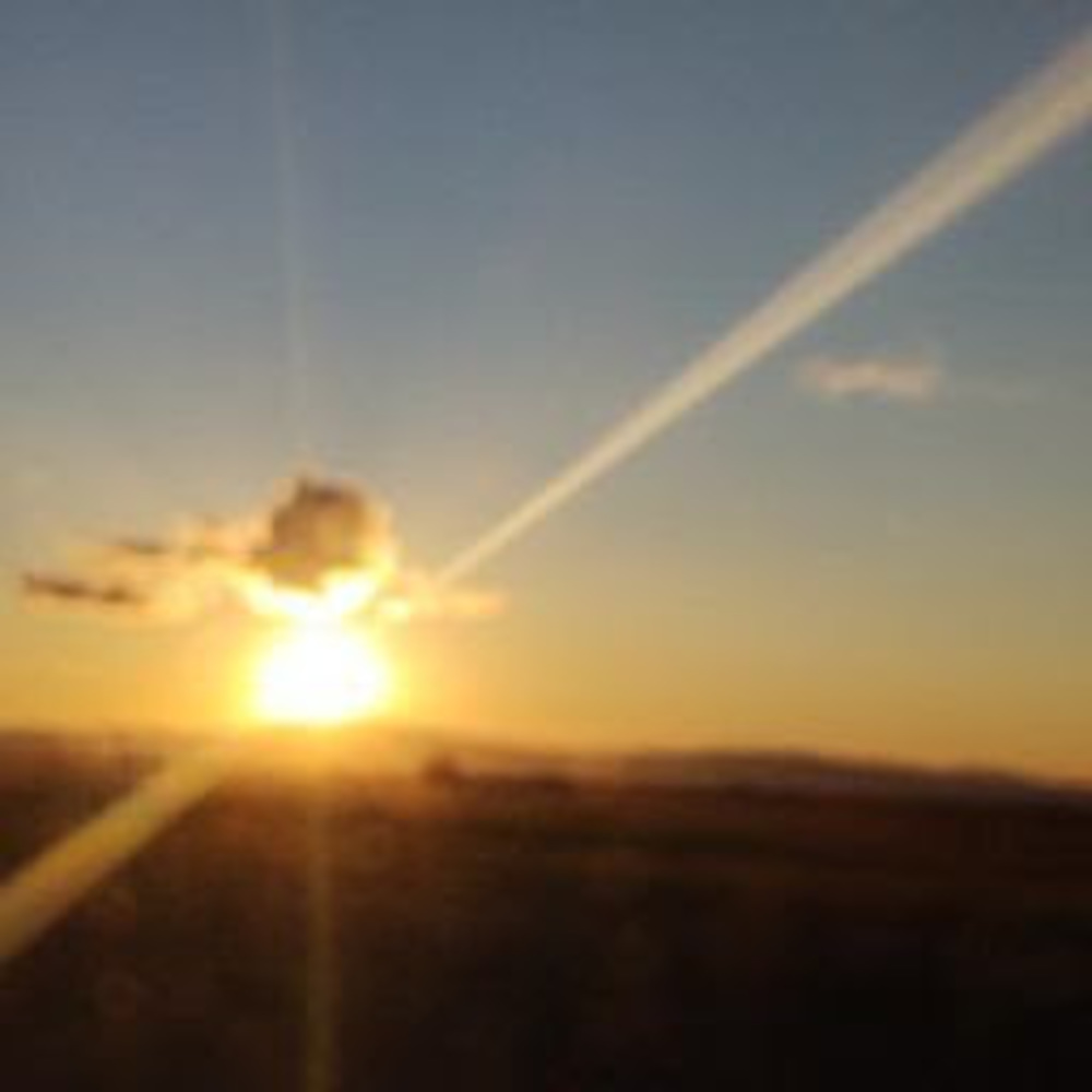 Meet your Posher, Clara